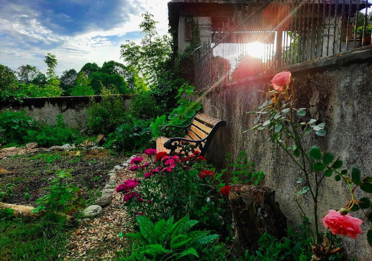 Domaine Lou Castet Bed & Breakfast Tuzaguet Exterior photo